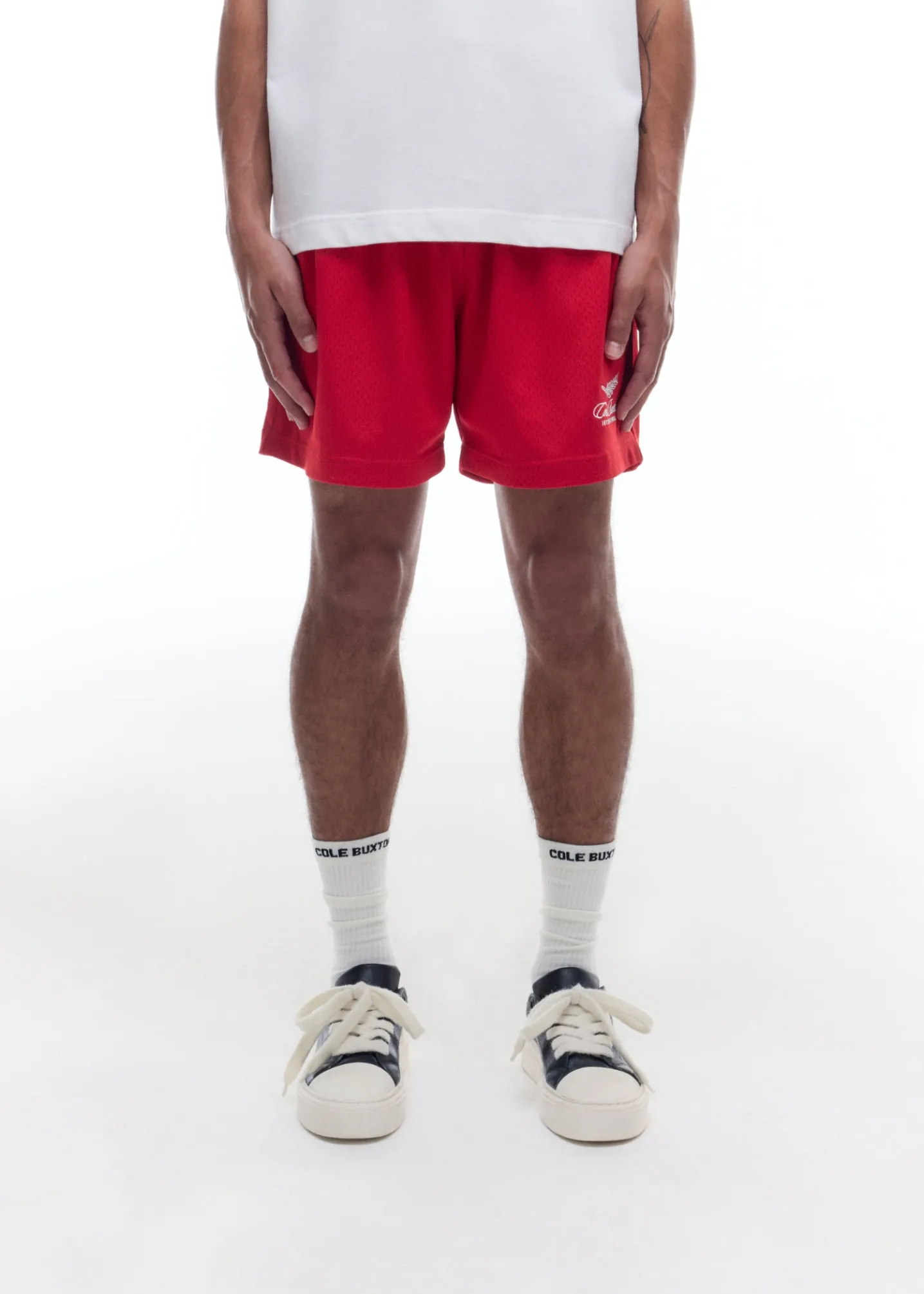 INTERNATIONAL MESH SHORTS